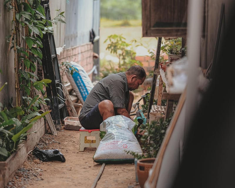 Urban Gardening City